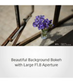 Sony - FE 50mm F1.8 Standard Lens (SEL50F18F), Black - Image 5